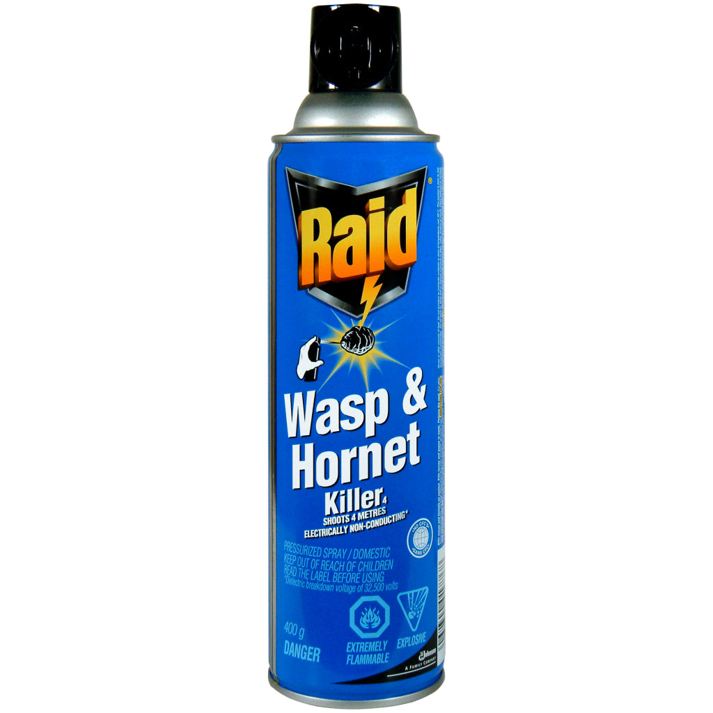 Raid Wasp And Hornet 400g Aiton Drug Co 8135