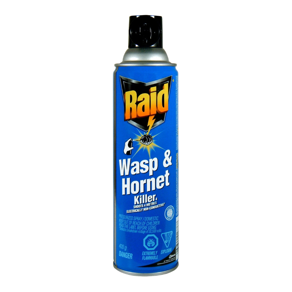 Raid Wasp & Hornet Killer 400g