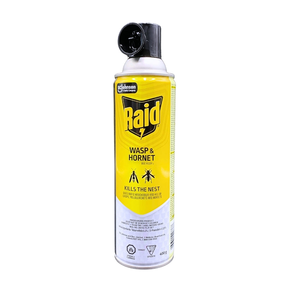 Raid Wasp & Hornet Killer 400g