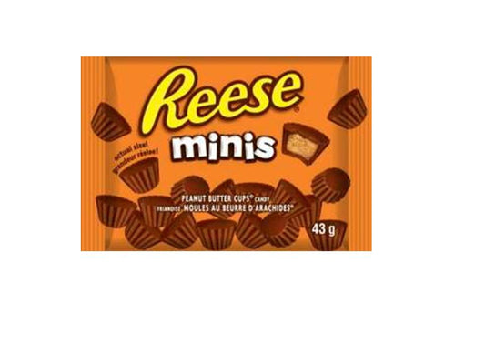 Reese's Mini 43 g 24 box