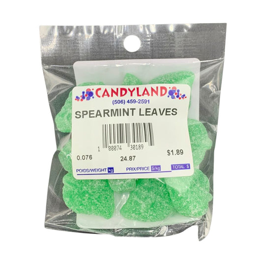 Spearmint Leaves