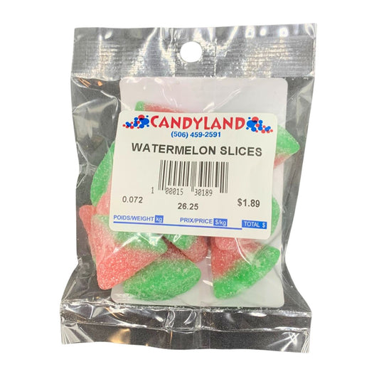 Watermelon Slice