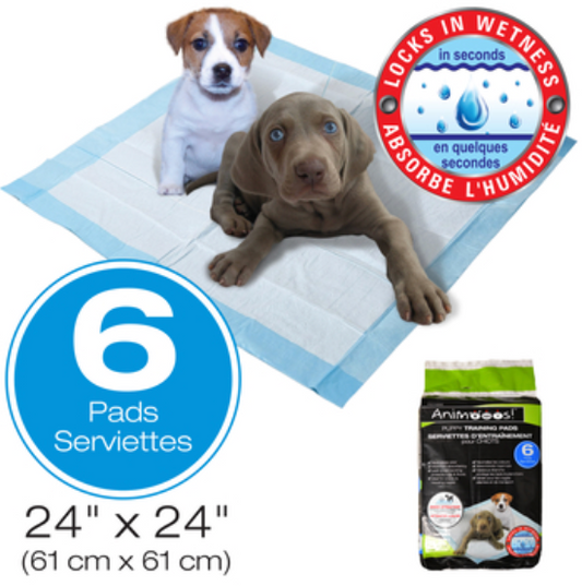 Puppy Training Pads with Attractant 61x61cm 6/pk