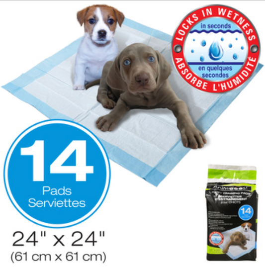 Puppy Training Pads with Attractant 14/pk 61x61cm