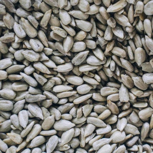 Sunflower Seed Raw 22.68kg
