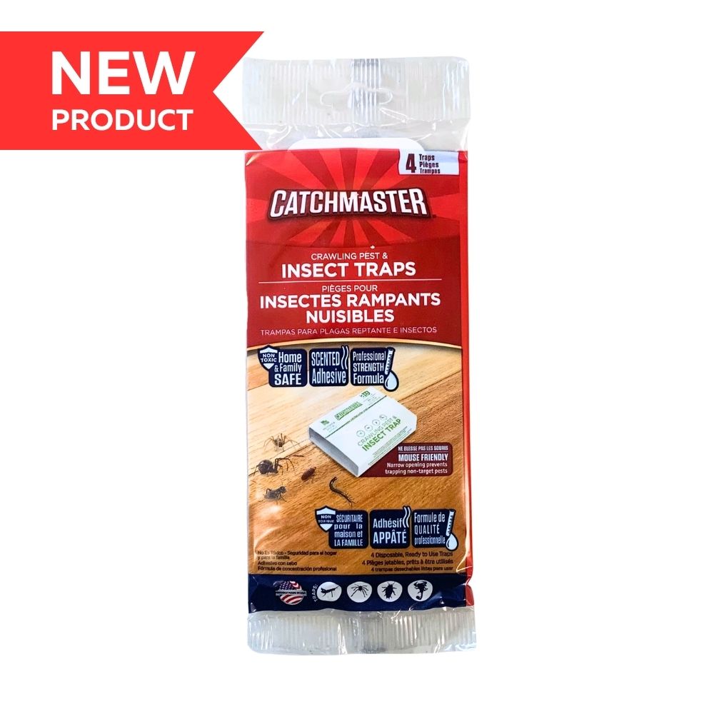 Catchmaster Glue Trap Spider & Insect 4pk