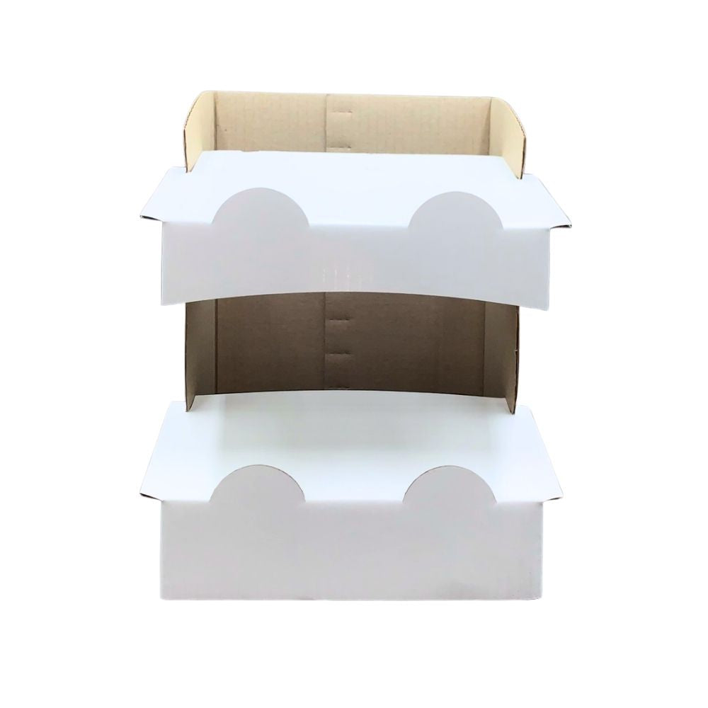 Big Sky Mint Empty Cardboard Display